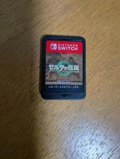 ゼルダの伝説 ティアーズオブザキングダム　Nintendo Switch