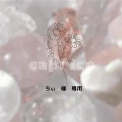 ちぃ　様　専用