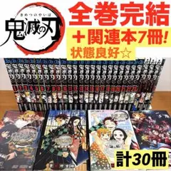 鬼滅の刃　全巻 完結セット ＋零巻＋外伝＋鬼殺隊見聞録1、2巻　⭐️計30冊⭐️
