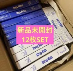 【新品未開封】KARMA Straykids スキズ 12枚セット