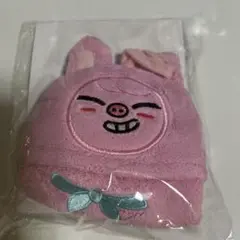 エコパ straykids スキズ FCくじ トゥエッキ ループタオル