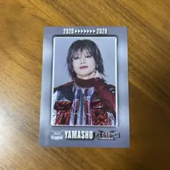THE RAMPAGE 山本彰吾　フォトカード