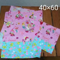 2-2N大C　入園入学　巾着袋　コップ袋　給食袋　女の子　ハニーチューン