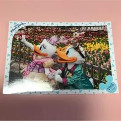 ディズニー スペシャルフォト ドナルド、デイジー