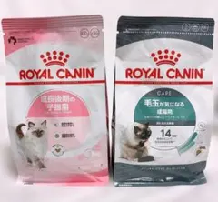 子猫　卒業　ロイヤルカナン　猫　子猫後期とヘアボールケア　400g1袋ずつ