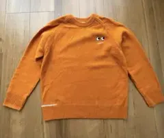 Item thumbnail for item 2d0f4f39-b52f-4405-a19e-c7391749f9e3