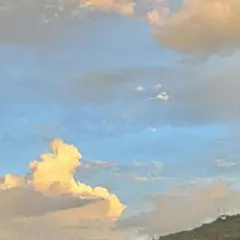 専用