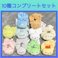 ［最安値］すみっコぐらし マスコット付きシュシュ 10点セット