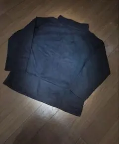 Item thumbnail for item 40983261-f50f-4751-a81e-e95f6c946e2e