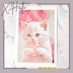 4月誕生石 モルガナイトを抱っこした白猫ちゃん ポストカード インテリアにも