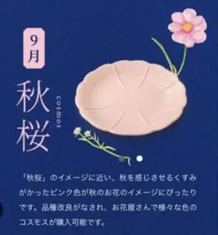 金麦12か月の花デザイン皿セット 金麦12か月の花やか皿12枚コンプリート?セット、金麦brand book