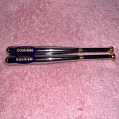 Item thumbnail for item 6f46f5c8-71a8-4198-adeb-750080a0e536