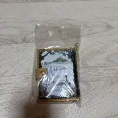 東京ディズニーシー ファンタジースプリングス パスケース