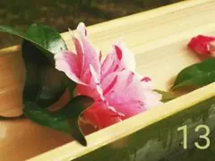 #13　椿、絞り模様　　　　　　　　　　　　　　　　　　byおはやなさん