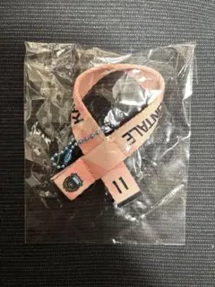 ガチャフロ タオルマフラーキーホルダー　2nd 小林悠 11番 川崎フロンターレ