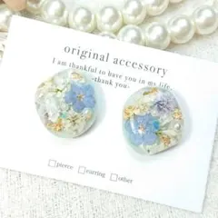 #4131/ハンドメイド♡押し花ドライフラワーレジンピアス ブルー