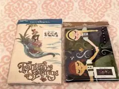 東京ディズニーリゾート・ファンタジースプリングス・アナ雪　タオル2枚セット