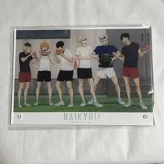 【未開封】ハイキュー アクリルパネル セブンネット限定 合宿 スイカ【匿名配送】