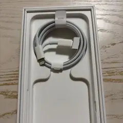 iPhone SE (第3世代) Lightningケーブルと箱