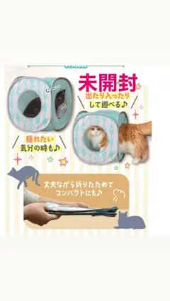 Item thumbnail for item 84f1a676-5514-4c67-a5c4-0efb4cfdbd79