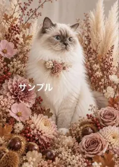 一作限り】花冠のラグドールと湖畔の楽園 C119 デジタルアート 猫 花畑