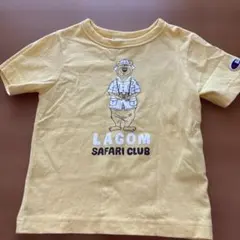 キッズTシャツ　100cm チャンピオン