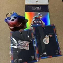 大阪関西万博 ウーマンズパビリオン ピンバッジ - メルカリ