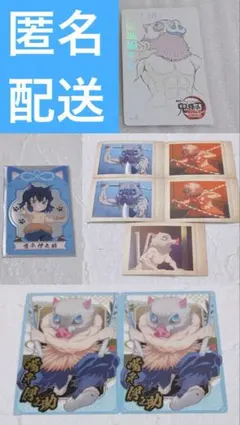 鬼滅の刃 嘴平伊之助 ぱしゃこれ ムビチケ風カード ウエハース 9点セット