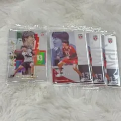 バレーボール 日本代表 小川智大