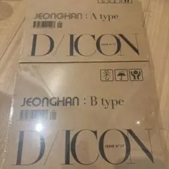 新品未開封　(和訳付き)DICON ジョンハン Aタイプ