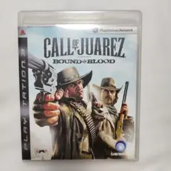 海外　コールオブファレス血の絆　call of juarez