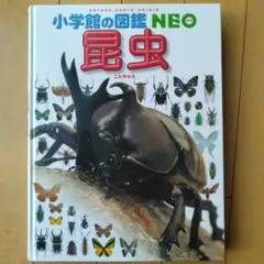 小学校の図鑑NEO 昆虫　カバー無し