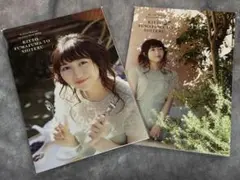 Item thumbnail for item 2b3e06cc-4439-4dee-a3b3-2d9fa9b0388a