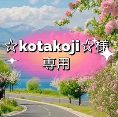 ☆kotakoji☆様専用　2点