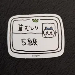 ぼぶ様 リクエスト 2点 まとめ商品