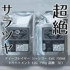 新品 ディープレイヤー シャンプー&トリートメント ExG 750ml/g 詰替のサムネイル