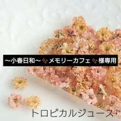 〜小春日和〜✨メモリーカフェ✨様 リクエスト 3点 まとめ商品