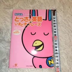 NOVAうさぎのとっさの英語いまどきフレーズ　レア商品