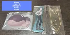 即日発送 未使用品 ポケモンマスターズ EX アクリルスタンド チリ　ドオー