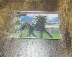 未開封】 ジャングルポケット ジャパンカップ ピンバッジ 競馬 JRA