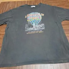 大きいサイズページボーイPAGEBOYオーバーサイズTシャツ