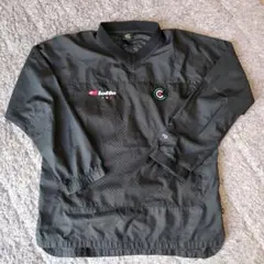 Item thumbnail for item 8c910664-3604-420b-be85-2b17b8d3cac7