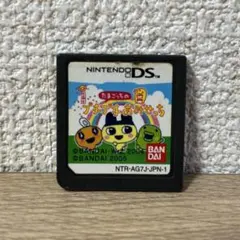 たまごっち　プチプチおみせっち　DSソフト　ジャンク