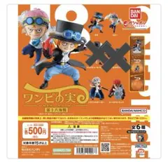 ONE PIECE ワンピース　ワンピの実　第十八海戦/第九海戦　5点セット