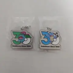 ポケモン 30周年 メタルチャームマスコット　2種セット