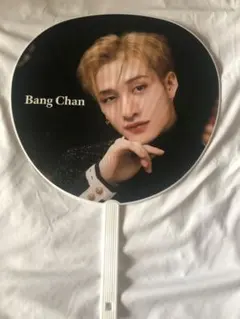 Item thumbnail for item b3503eef-7137-4dbe-afd6-206814d1434b