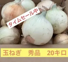 七宝早生♦️秀品3Lサイズ20Kg♦️淡路島新玉ねぎ たまねぎ 玉葱