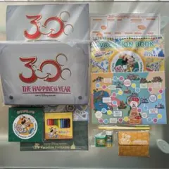 ディズニーバケーションパッケージ　30周年　ステーショナリーセット　文具セット