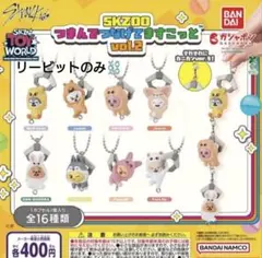 スキズ SKZOO つまんでつなげてますこっと vol.2 コンプリート