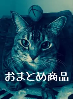 tama様 リクエスト 3点 まとめ商品